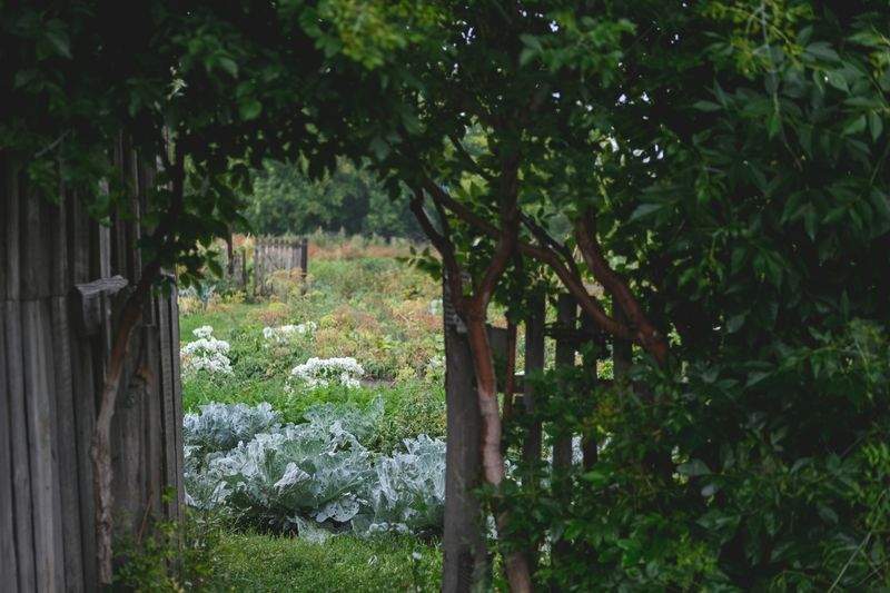 Giardini Fioriti Srl - Image 1