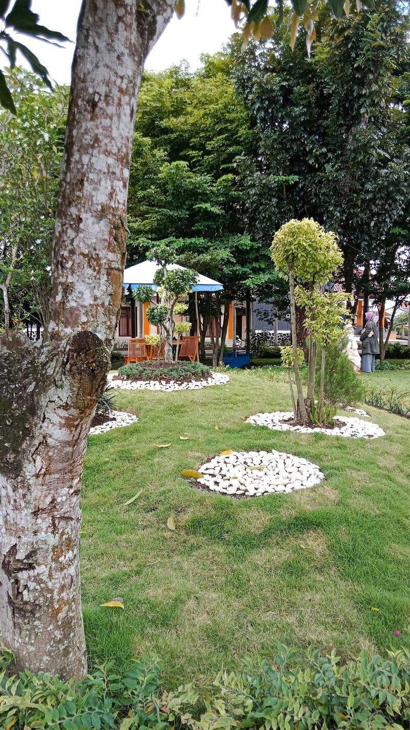 Giardini Fioriti Srl - Image 13