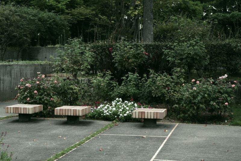 Giardini Fioriti Srl - Image 14